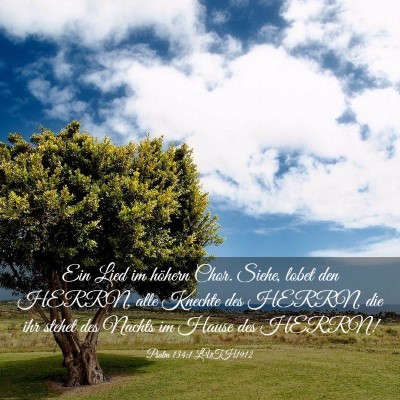 Picture 03 - Psalm 134:1 LUTH1912 - Ein Lied im höhern Chor. Siehe, lobet den HERRN, - Bible Verse Picture