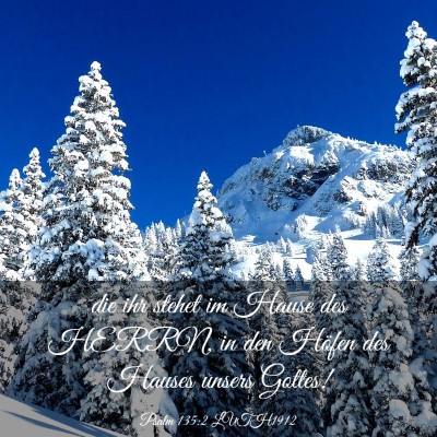 Picture 03 - Psalm 135:2 LUTH1912 - die ihr stehet im Hause des HERRN, in den Höfen - Bible Verse Picture
