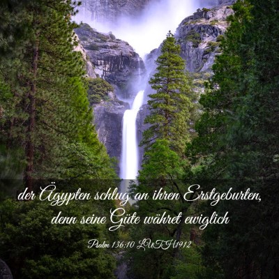 Picture 03 - Psalm 136:10 LUTH1912 - der Ägypten schlug an ihren Erstgeburten, denn - Bible Verse Picture