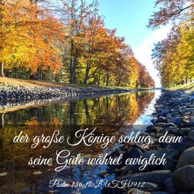 Picture 03 - Psalm 136:17 LUTH1912 - der große Könige schlug, denn seine Güte - Bible Verse Picture