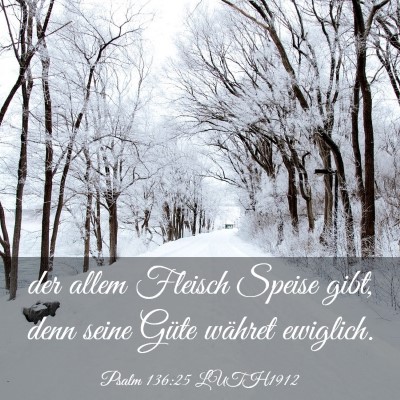 Picture 03 - Psalm 136:25 LUTH1912 - der allem Fleisch Speise gibt, denn seine Güte - Bible Verse Picture