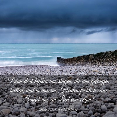 Picture 03 - Psalm 137:3 LUTH1912 - Denn dort hießen uns singen, die uns gefangen - Bible Verse Picture