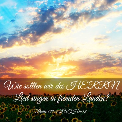 Picture 03 - Psalm 137:4 LUTH1912 - Wie sollten wir des HERRN Lied singen in fremden - Bible Verse Picture