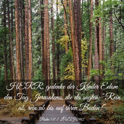 Picture 03 - Psalm 137:7 LUTH1912 - HERR, gedenke der Kinder Edom den Tag Jerusalems, - Bible Verse Picture