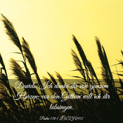 Picture 03 - Psalm 138:1 LUTH1912 - Davids. Ich danke dir von ganzem Herzen; vor den - Bible Verse Picture