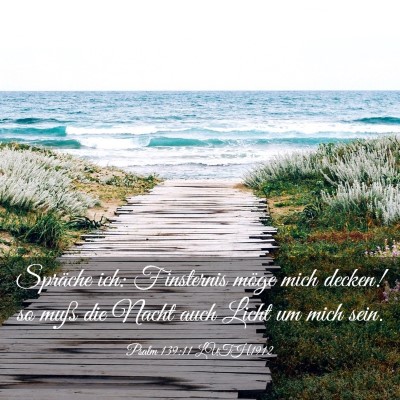 Picture 03 - Psalm 139:11 LUTH1912 - Spräche ich: Finsternis möge mich decken! so - Bible Verse Picture
