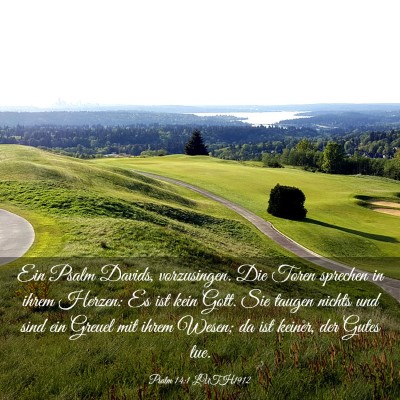 Picture 03 - Psalm 14:1 LUTH1912 - Ein Psalm Davids, vorzusingen. Die Toren sprechen - Bible Verse Picture