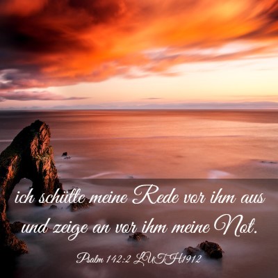 Picture 03 - Psalm 142:2 LUTH1912 - ich schütte meine Rede vor ihm aus und zeige an - Bible Verse Picture