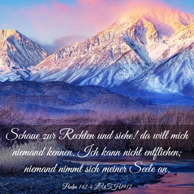 Picture 03 - Psalm 142:4 LUTH1912 - Schaue zur Rechten und siehe! da will mich - Bible Verse Picture