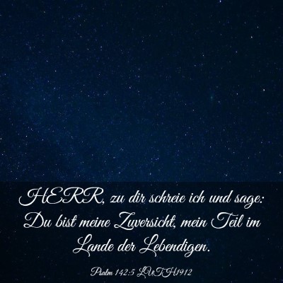 Picture 03 - Psalm 142:5 LUTH1912 - HERR, zu dir schreie ich und sage: Du bist meine - Bible Verse Picture