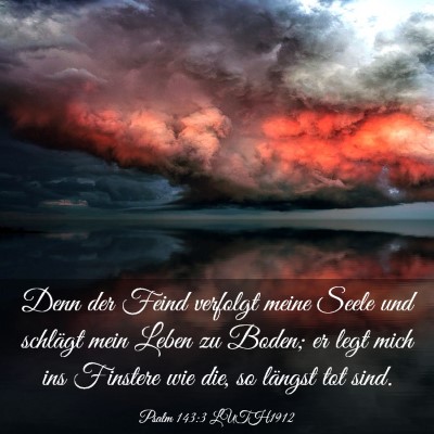 Picture 03 - Psalm 143:3 LUTH1912 - Denn der Feind verfolgt meine Seele und schlägt - Bible Verse Picture