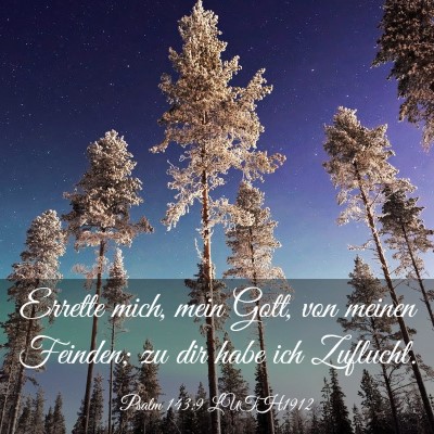 Picture 03 - Psalm 143:9 LUTH1912 - Errette mich, mein Gott, von meinen Feinden; zu - Bible Verse Picture