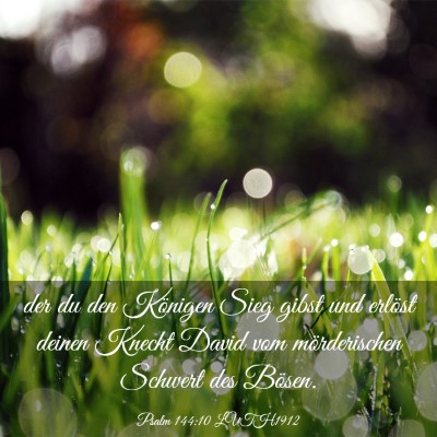 Picture 03 - Psalm 144:10 LUTH1912 - der du den Königen Sieg gibst und erlöst deinen - Bible Verse Picture