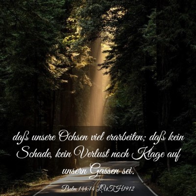 Picture 03 - Psalm 144:14 LUTH1912 - daß unsere Ochsen viel erarbeiten; daß kein - Bible Verse Picture