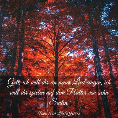 Picture 03 - Psalm 144:9 LUTH1912 - Gott, ich will dir ein neues Lied singen, ich - Bible Verse Picture