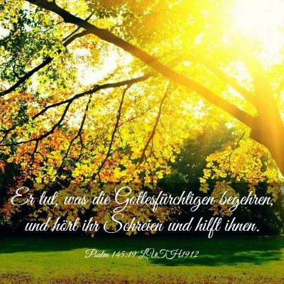 Picture 03 - Psalm 145:19 LUTH1912 - Er tut, was die Gottesfürchtigen begehren, und - Bible Verse Picture
