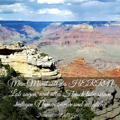 Picture 03 - Psalm 145:21 LUTH1912 - Mein Mund soll des HERRN Lob sagen, und alles - Bible Verse Picture