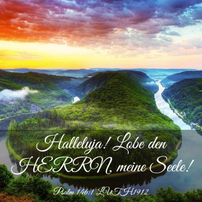 Picture 03 - Psalm 146:1 LUTH1912 - Halleluja! Lobe den HERRN, meine - Bible Verse Picture