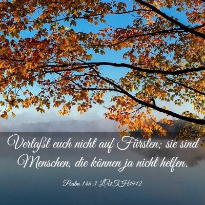 Picture 03 - Psalm 146:3 LUTH1912 - Verlaßt euch nicht auf Fürsten; sie sind - Bible Verse Picture