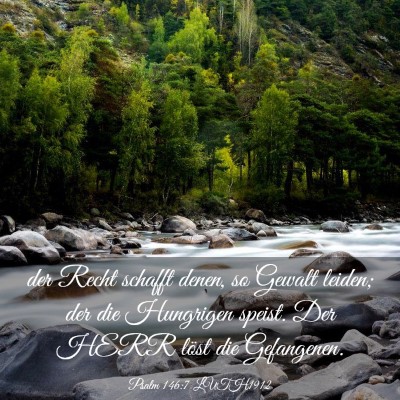 Picture 03 - Psalm 146:7 LUTH1912 - der Recht schafft denen, so Gewalt leiden; der - Bible Verse Picture