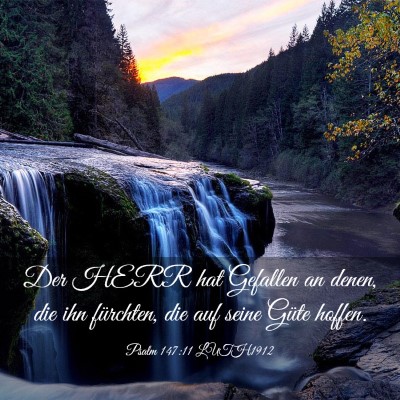 Picture 03 - Psalm 147:11 LUTH1912 - Der HERR hat Gefallen an denen, die ihn - Bible Verse Picture