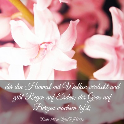 Picture 03 - Psalm 147:8 LUTH1912 - der den Himmel mit Wolken verdeckt und gibt Regen - Bible Verse Picture