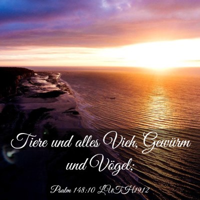 Picture 03 - Psalm 148:10 LUTH1912 - Tiere und alles Vieh, Gewürm und - Bible Verse Picture