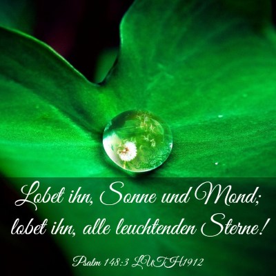Picture 03 - Psalm 148:3 LUTH1912 - Lobet ihn, Sonne und Mond; lobet ihn, alle - Bible Verse Picture