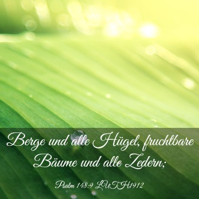 Picture 03 - Psalm 148:9 LUTH1912 - Berge und alle Hügel, fruchtbare Bäume und alle - Bible Verse Picture