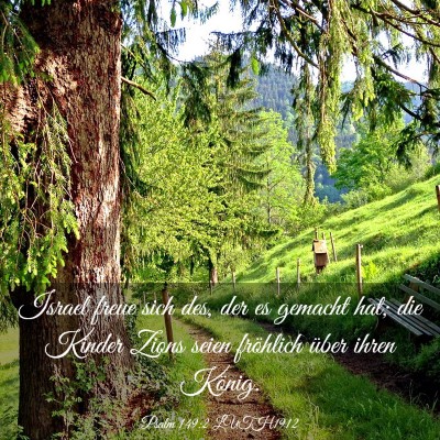 Picture 03 - Psalm 149:2 LUTH1912 - Israel freue sich des, der es gemacht hat; die - Bible Verse Picture