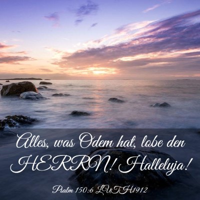 Picture 03 - Psalm 150:6 LUTH1912 - Alles, was Odem hat, lobe den HERRN! - Bible Verse Picture