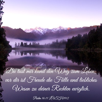 Picture 03 - Psalm 16:11 LUTH1912 - Du tust mir kund den Weg zum Leben; vor dir ist - Bible Verse Picture