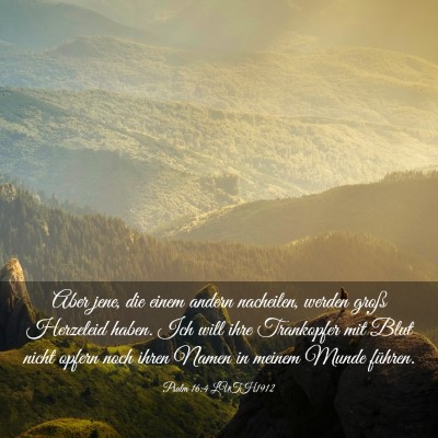 Picture 03 - Psalm 16:4 LUTH1912 - Aber jene, die einem andern nacheilen, werden - Bible Verse Picture