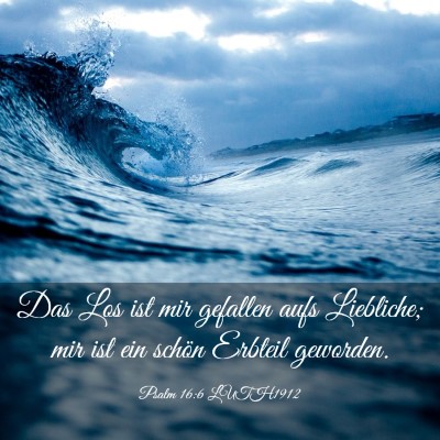 Picture 03 - Psalm 16:6 LUTH1912 - Das Los ist mir gefallen aufs Liebliche; mir ist - Bible Verse Picture