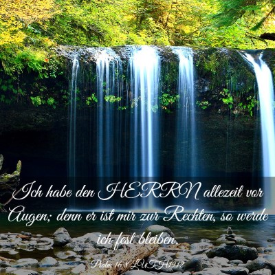 Picture 03 - Psalm 16:8 LUTH1912 - Ich habe den HERRN allezeit vor Augen; denn er - Bible Verse Picture