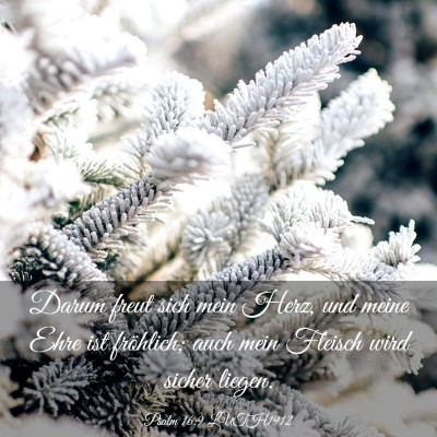 Picture 03 - Psalm 16:9 LUTH1912 - Darum freut sich mein Herz, und meine Ehre ist - Bible Verse Picture