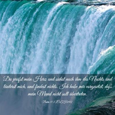Picture 03 - Psalm 17:3 LUTH1912 - Du prüfst mein Herz und siehst nach ihm des - Bible Verse Picture