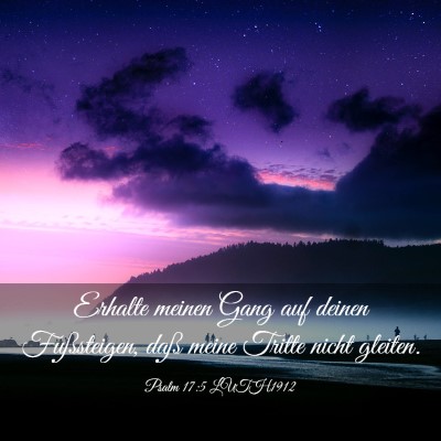 Picture 03 - Psalm 17:5 LUTH1912 - Erhalte meinen Gang auf deinen Fußsteigen, daß - Bible Verse Picture