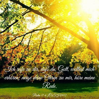 Picture 03 - Psalm 17:6 LUTH1912 - Ich rufe zu dir, daß du, Gott, wollest mich - Bible Verse Picture