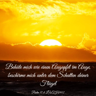 Picture 03 - Psalm 17:8 LUTH1912 - Behüte mich wie einen Augapfel im Auge, - Bible Verse Picture