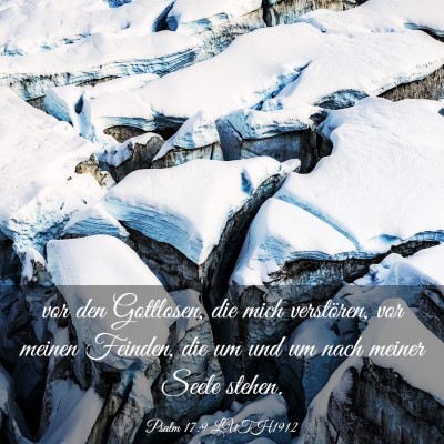 Picture 03 - Psalm 17:9 LUTH1912 - vor den Gottlosen, die mich verstören, vor - Bible Verse Picture