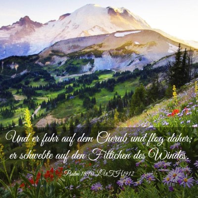 Picture 03 - Psalm 18:10 LUTH1912 - Und er fuhr auf dem Cherub und flog daher; er - Bible Verse Picture