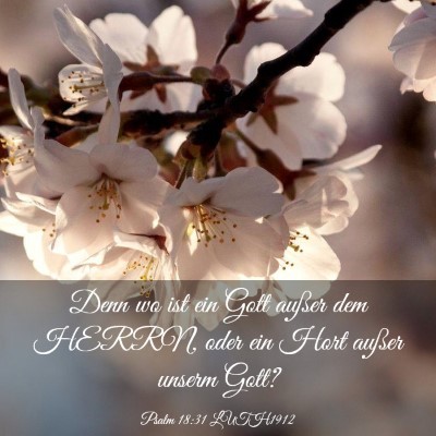 Picture 03 - Psalm 18:31 LUTH1912 - Denn wo ist ein Gott außer dem HERRN, oder ein - Bible Verse Picture