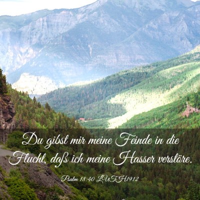 Picture 03 - Psalm 18:40 LUTH1912 - Du gibst mir meine Feinde in die Flucht, daß ich - Bible Verse Picture