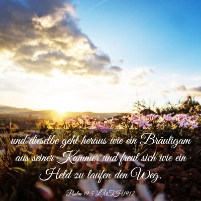 Picture 03 - Psalm 19:5 LUTH1912 - und dieselbe geht heraus wie ein Bräutigam aus - Bible Verse Picture