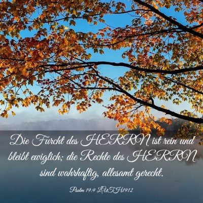 Picture 03 - Psalm 19:9 LUTH1912 - Die Furcht des HERRN ist rein und bleibt - Bible Verse Picture