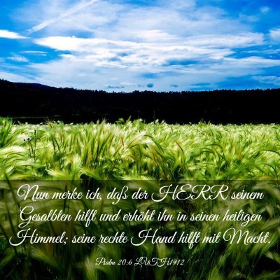 Picture 03 - Psalm 20:6 LUTH1912 - Nun merke ich, daß der HERR seinem Gesalbten - Bible Verse Picture