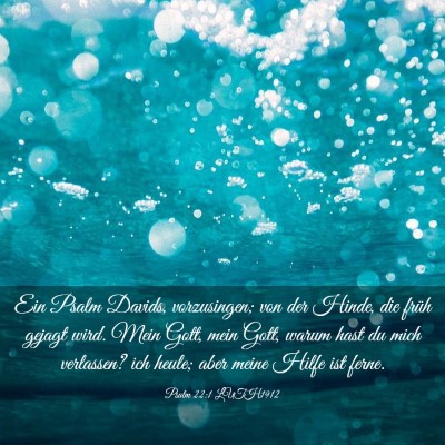 Picture 03 - Psalm 22:1 LUTH1912 - Ein Psalm Davids, vorzusingen; von der Hinde, die - Bible Verse Picture