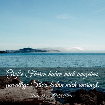 Picture 03 - Psalm 22:12 LUTH1912 - Große Farren haben mich umgeben, gewaltige - Bible Verse Picture