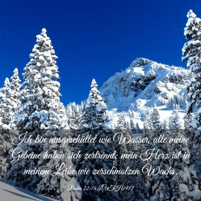 Picture 03 - Psalm 22:14 LUTH1912 - Ich bin ausgeschüttet wie Wasser, alle meine - Bible Verse Picture